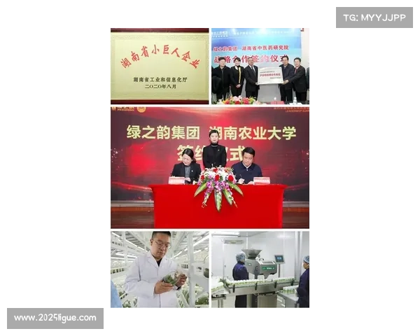 台北巨人队主力登陆榕城 台盟协办助力加速人才流通 台北巨人队主力登陆榕城 台盟协办助力加速人才流通